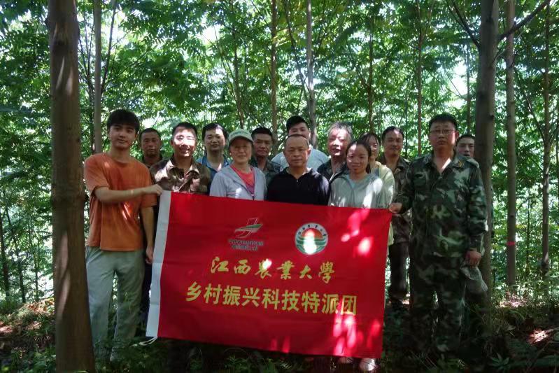 图为江西农大乡村振兴科技特派团在明月山林场开展科技服务。
