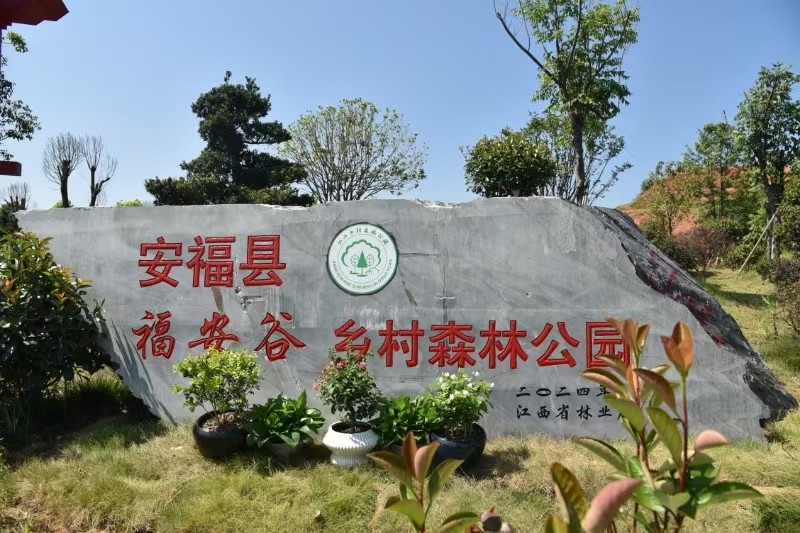 圖為“福安谷鄉(xiāng)村森林公園”入口標志。