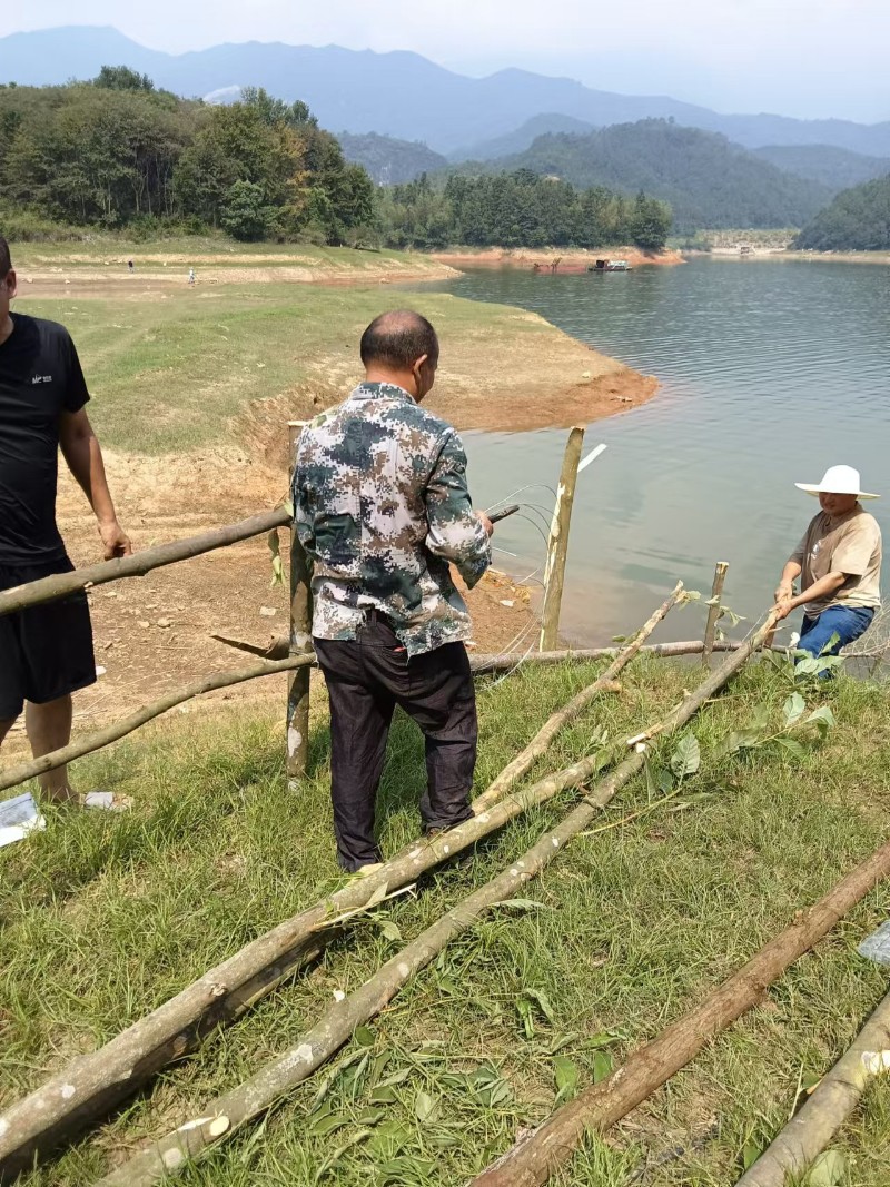 圖為武功山林職工在新造幼林山場(chǎng)搶修圍籬。