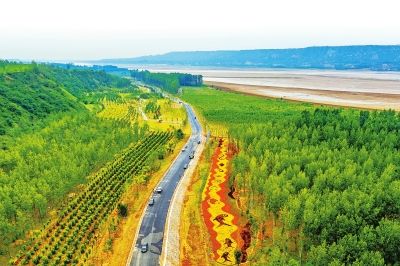 夏日的三门峡市百里黄河生态廊道,绿野千里,景色怡人.杜杰摄