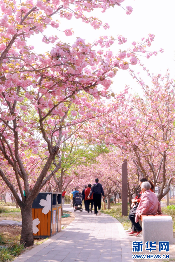 4月14日，河南鹤壁，市民在赏花游春。丁小芳 摄