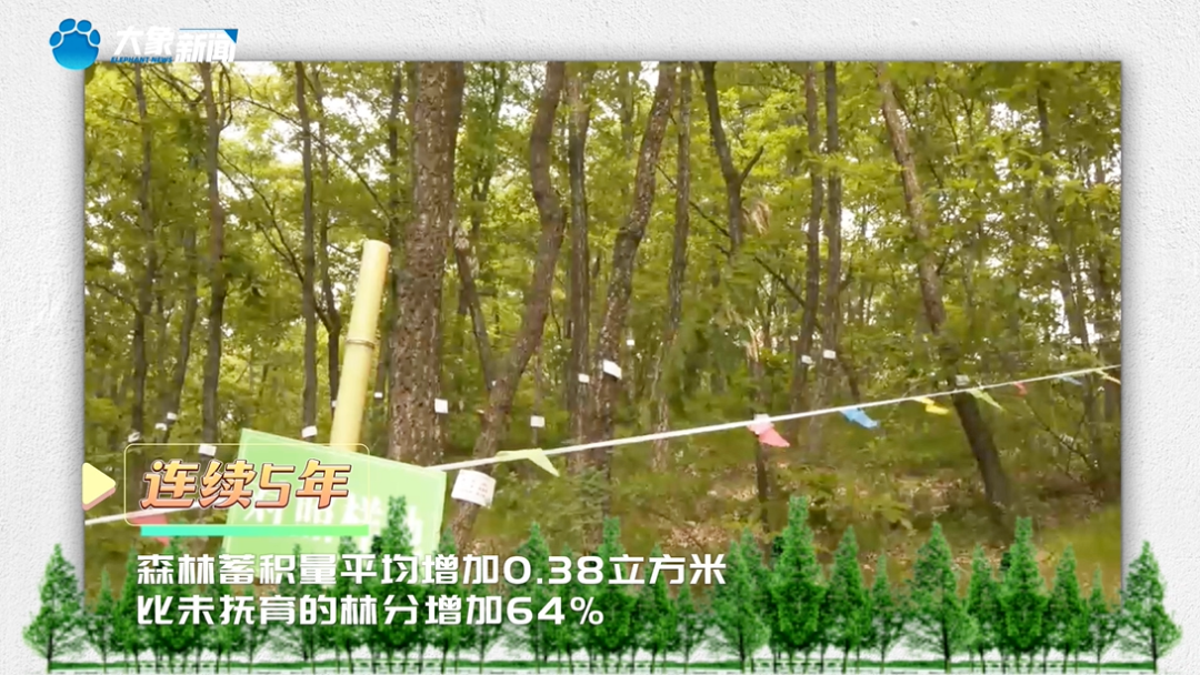 全省森林抚育工作现场会在洛阳举行 - 关注森林