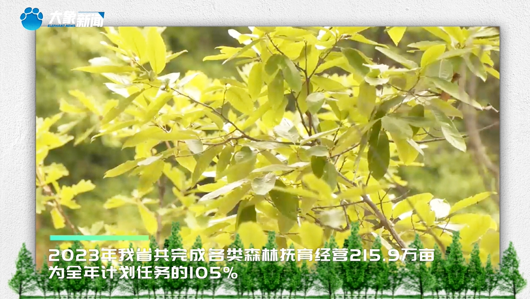 全省森林抚育工作现场会在洛阳举行 - 关注森林