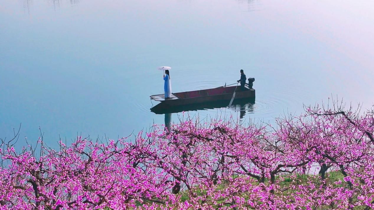 湖光花色两相宜 曹静摄