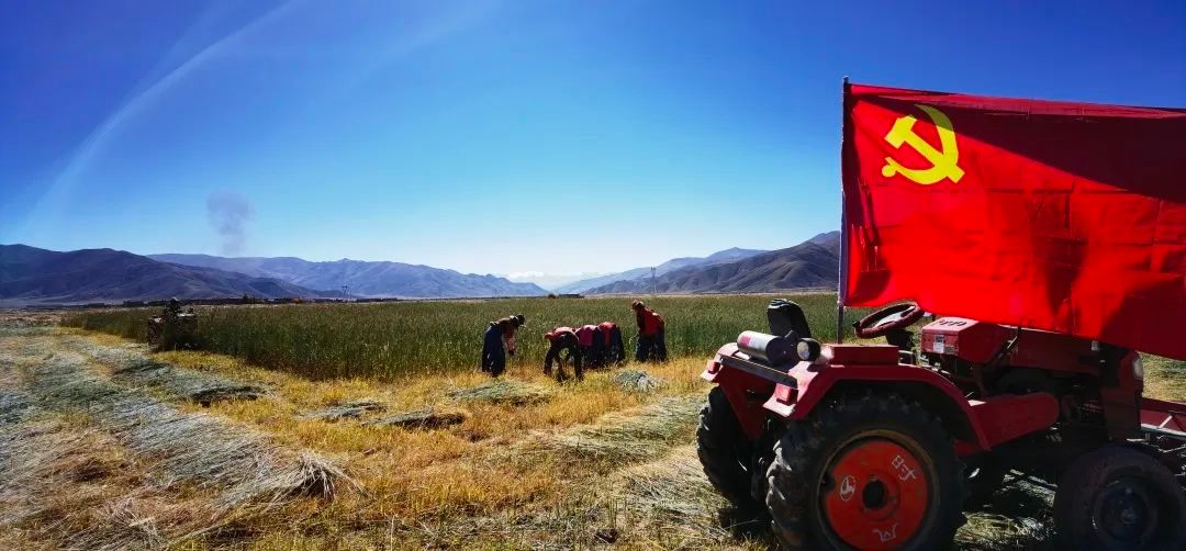 半岛体育app凝聚社会力量 守护生态环境 为建设生态文明和美丽中国贡献力量——中华环境保护基金会建会三十周年回顾…(图8)