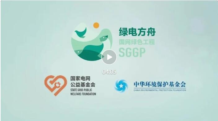 QQ截圖20240531204901