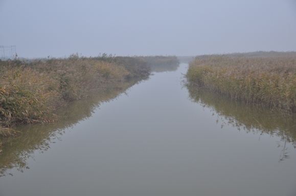 唐海湿地和鸟类省级自然保护区