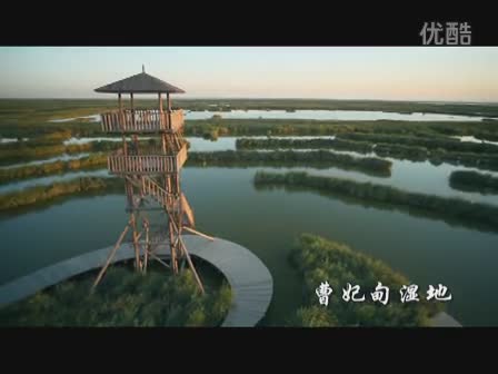 曹妃甸区湿地宣传片20171126012956