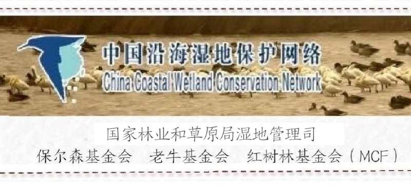 红树林banner