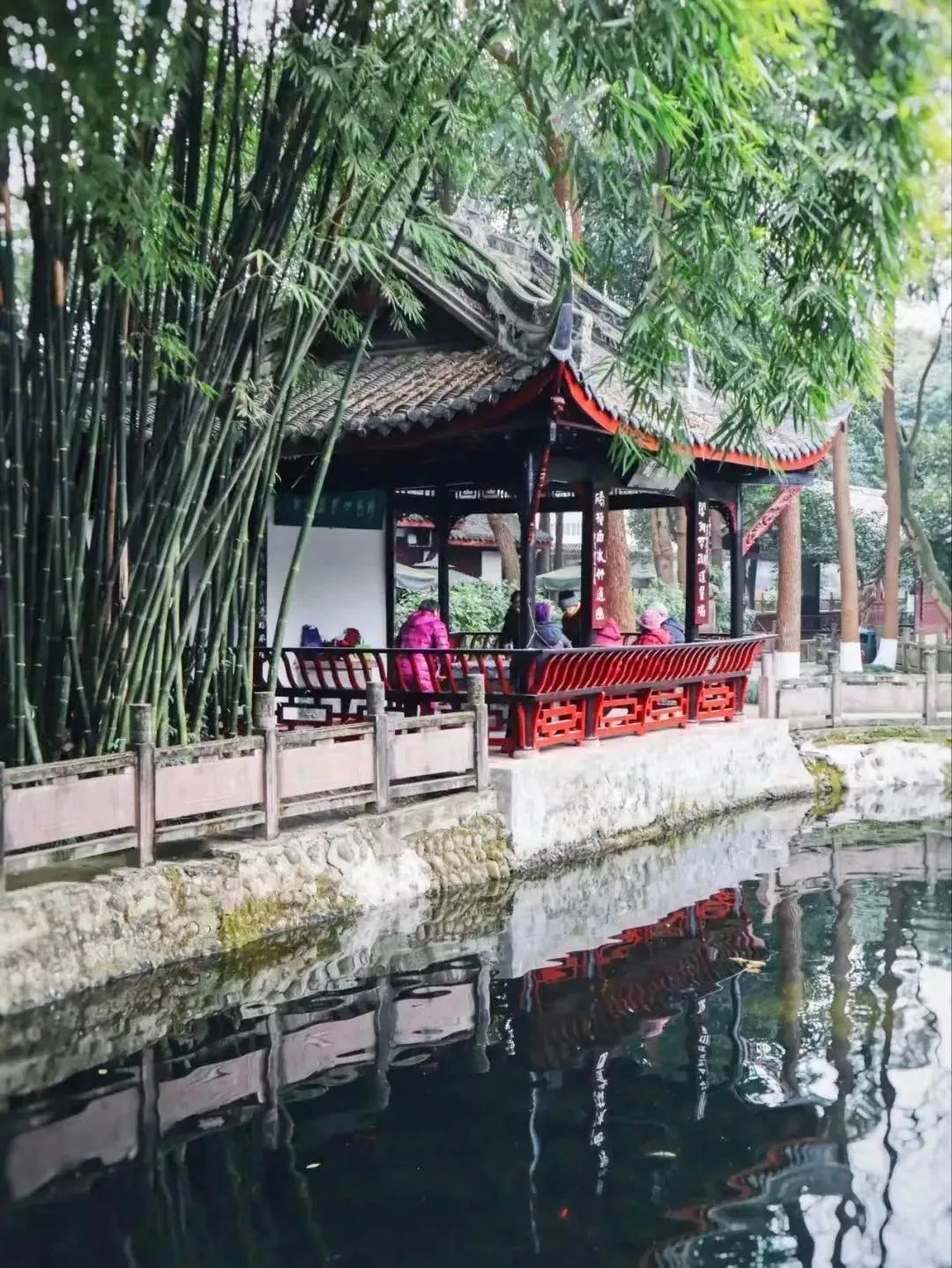 全球品牌推介开启!成都世园会将向世界展示什么? - 关注森林