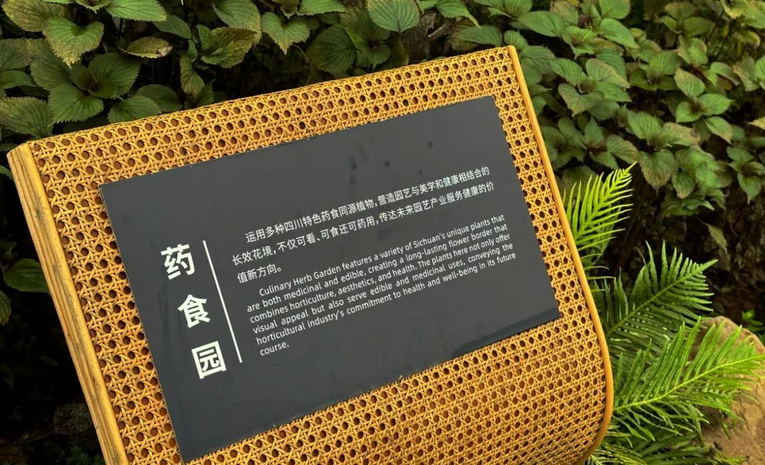 “解码”成都园｜那些可看可药食的花花草草_www.isenlin.cn