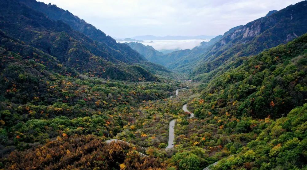 秦岭西安至宁陕段秋景(2019年10月17日摄,无人机照片).