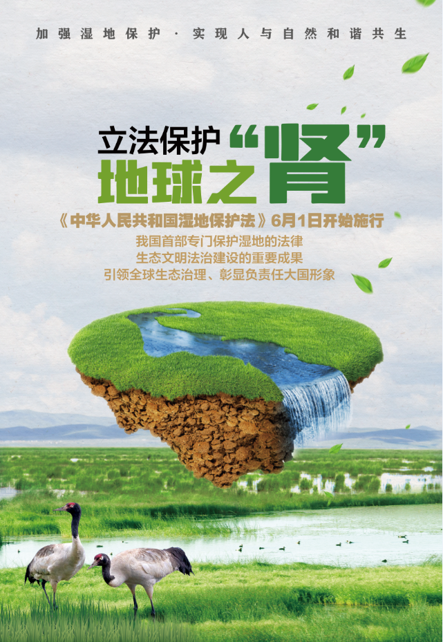 《中华人民共和国湿地保护法》宣传海报