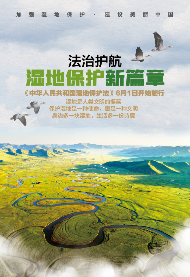 《中华人民共和国湿地保护法》宣传海报2