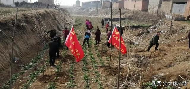 微信图片_20190228182431