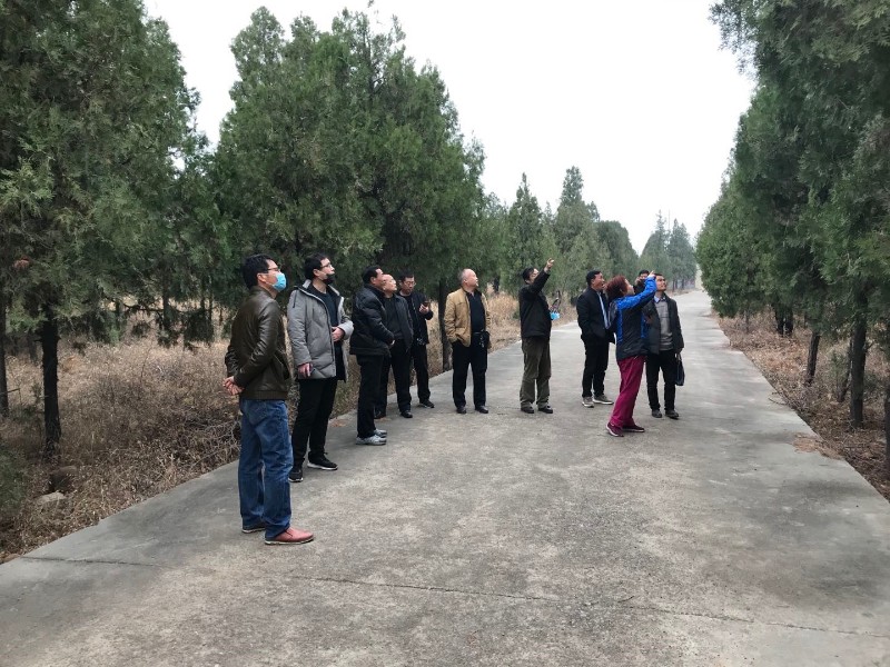 微信图片_202003101600341