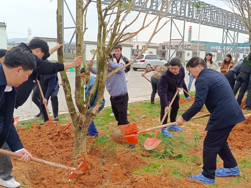 金溪县开展新春义务植树活动