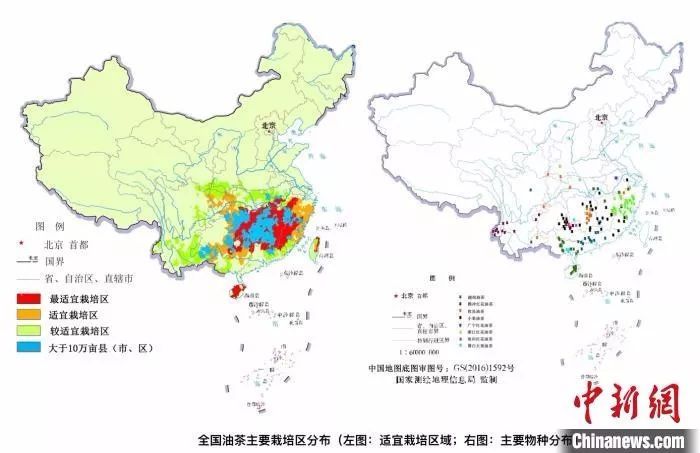 资料图:中国油茶主要栽培地区分布.