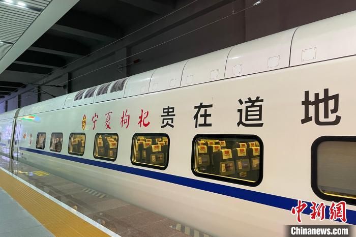 “宁夏枸杞”高铁冠名列车从银川走向全国。　李佩珊 摄