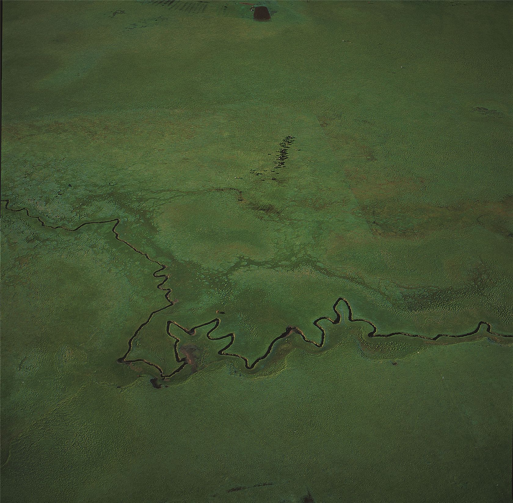 ZP657中国最美湿地——若尔盖大草原2