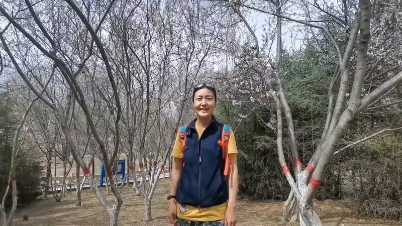 视频预览图