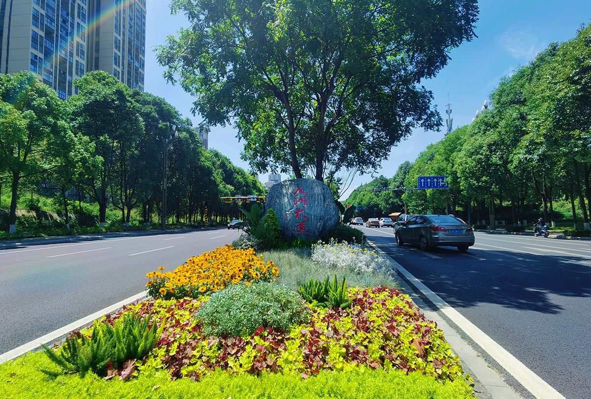 绵阳“五市战略”|生态美市 加快建设高品质生活宜居地 - 关注森林