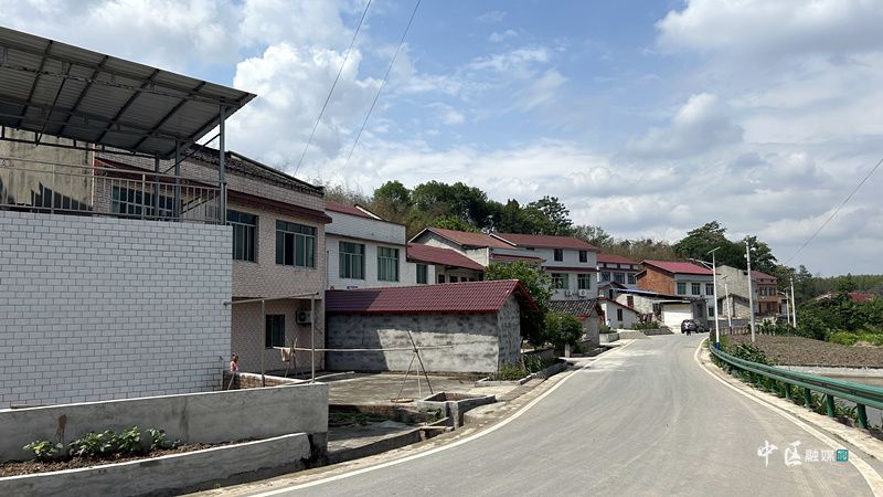 以“加快建设宜居宜业和美乡村”为总体目标 - 关注森林