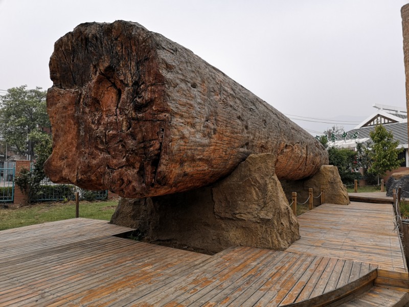 圖7-中科院北京植物園