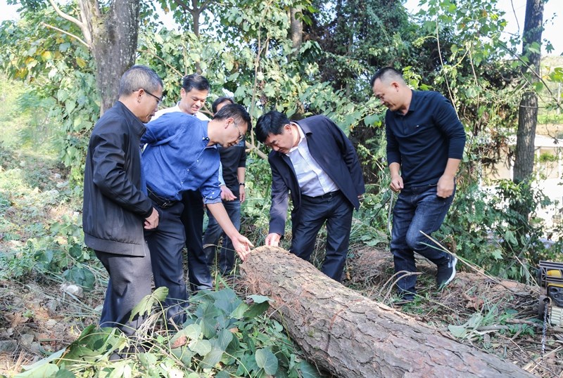 严水石要求,各乡镇各部门要高度重视,提高政治站位