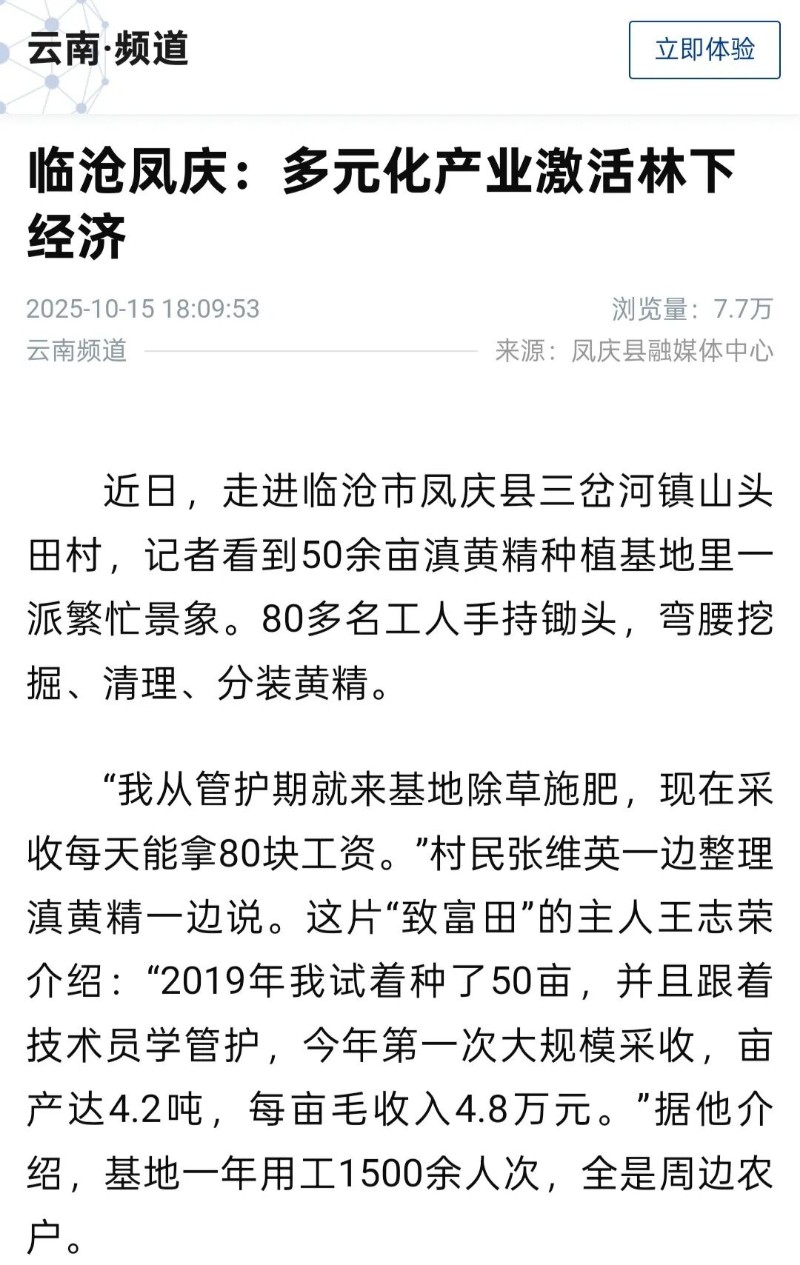 鳳慶.jpg
