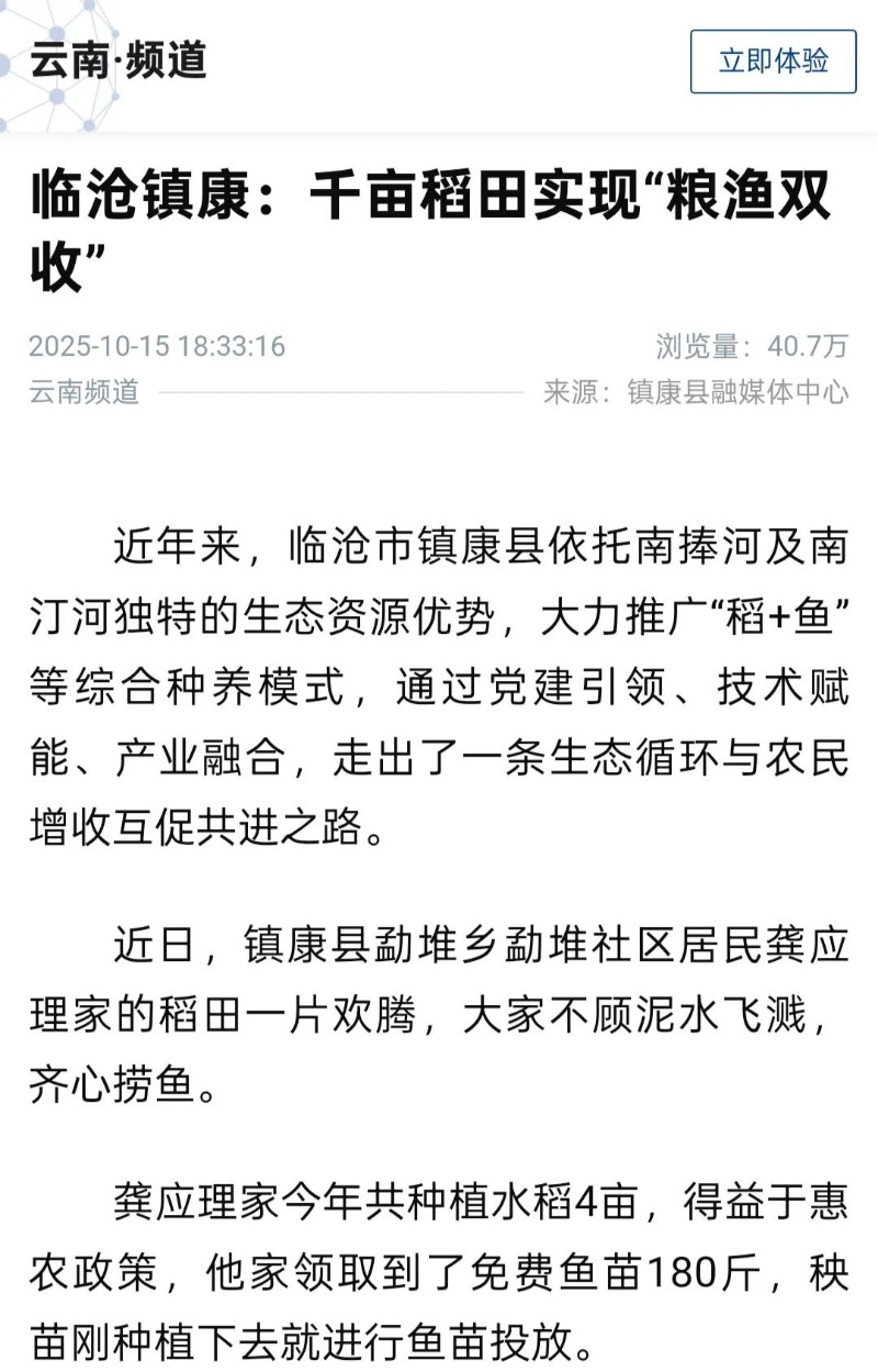 鎮(zhèn)康.jpg