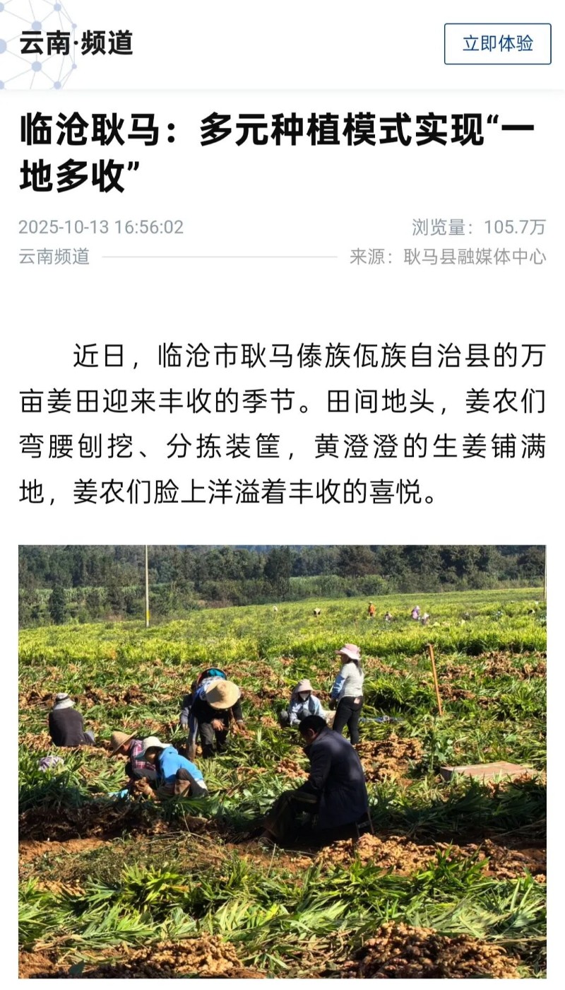 耿馬.jpg