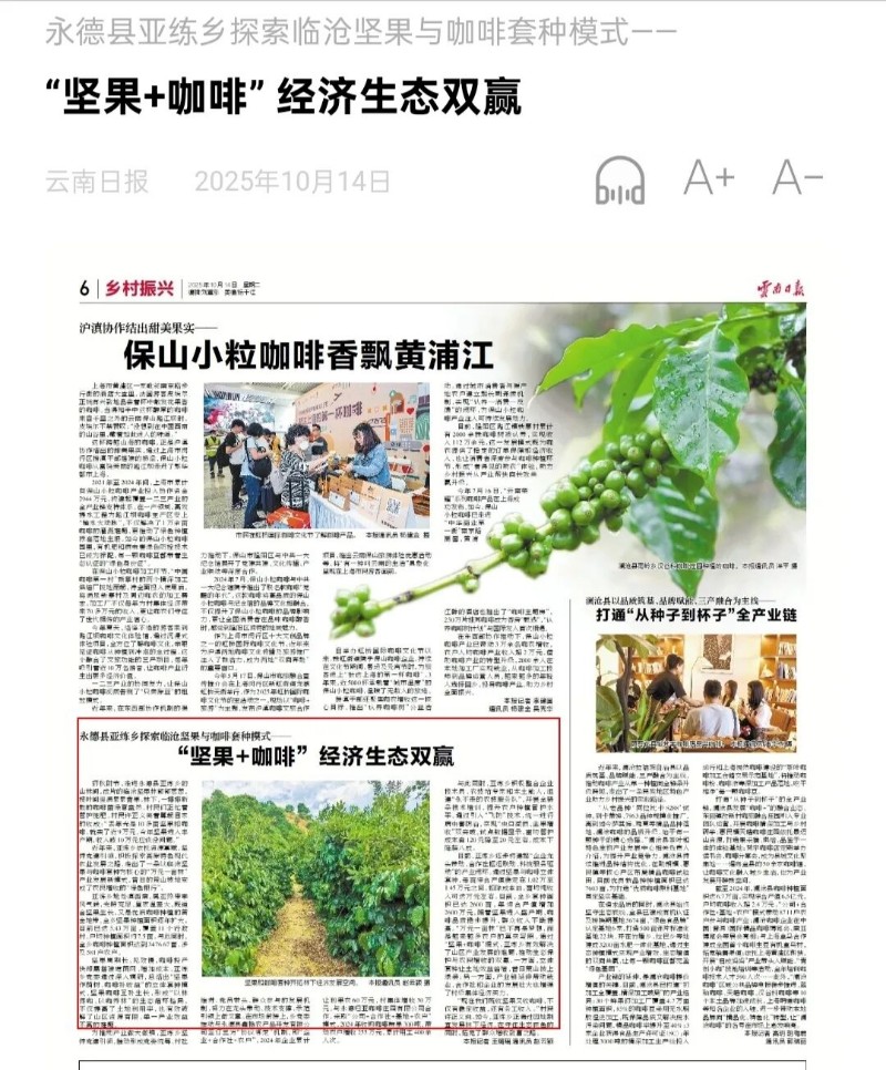 云南日報.jpg