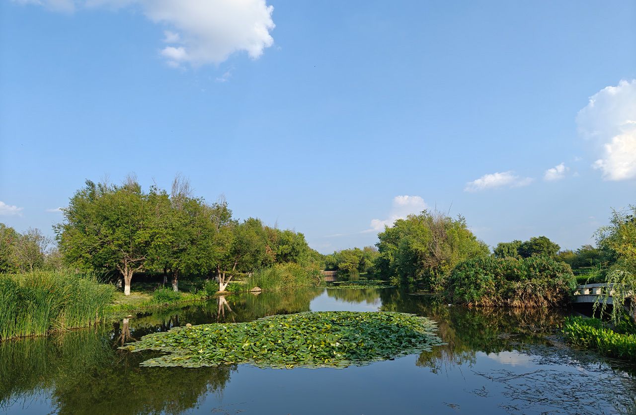 2022呈贡·滇池生态湿地公园游玩攻略,风景优美只是没多大面积不过... 【去哪儿攻略】