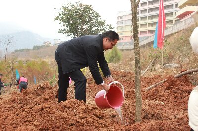 “植”此青绿，不负好春光—汉源县2024年春季义务植树活动1