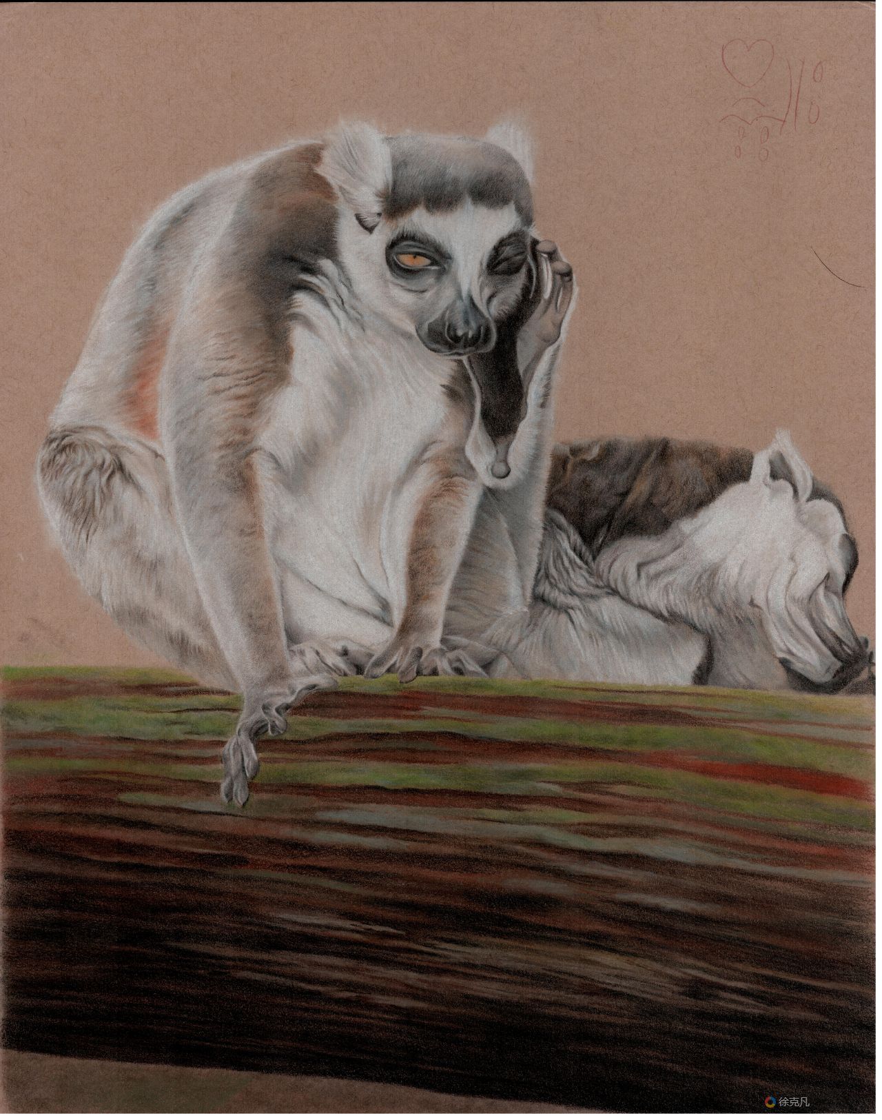 lemur0001
