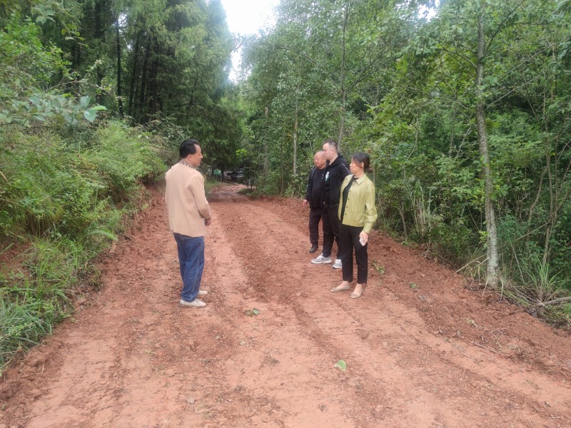 森林防火通道建設(shè)