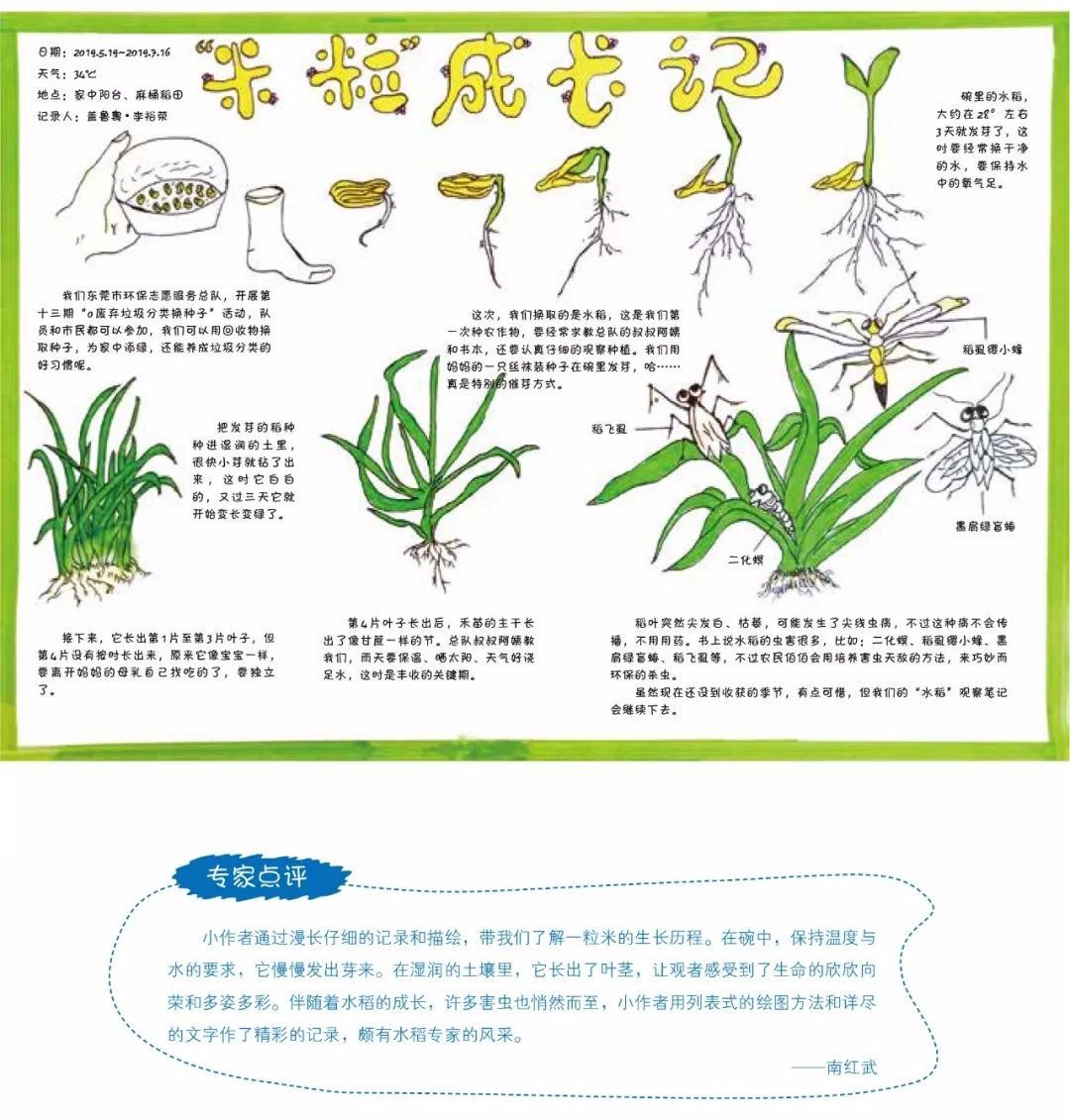 绘眼看自然 | 长隆杯第二届自然笔记大赛获奖作品展示