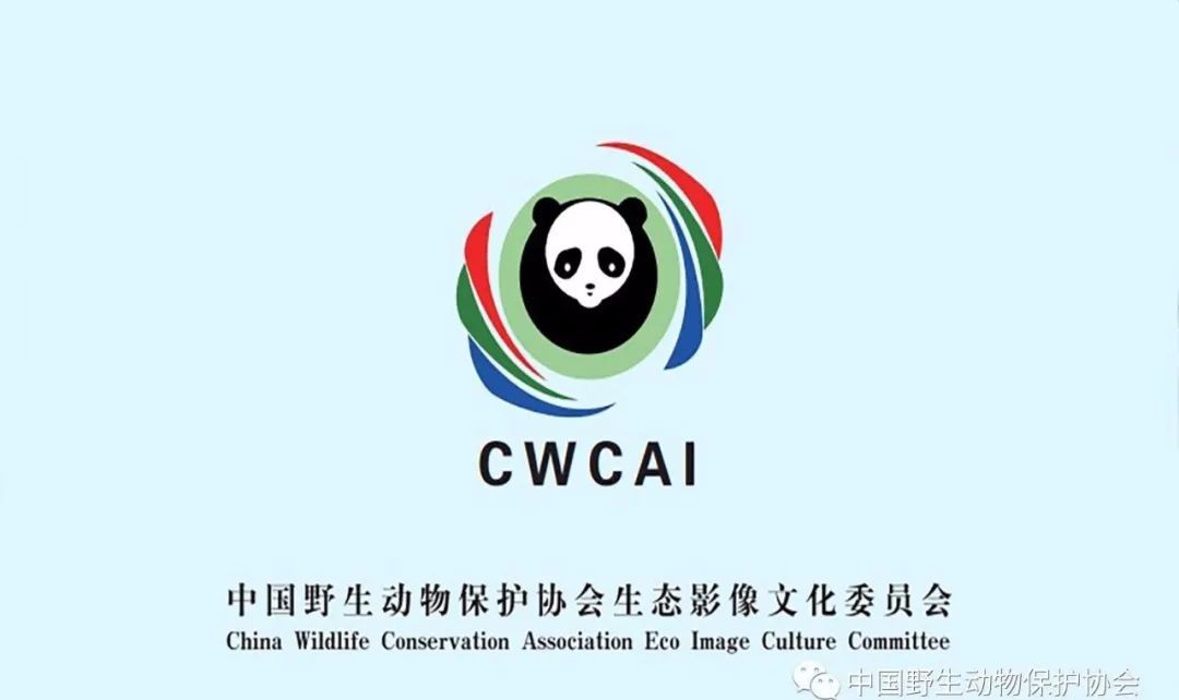 中国野生动物保护协会生态影像文化委员会召开一届二次会议