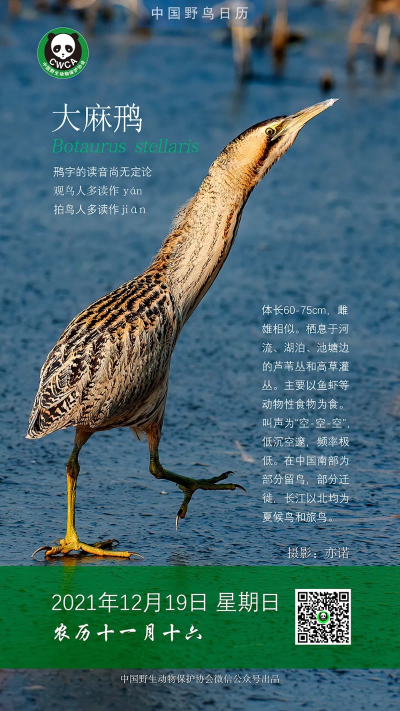 AFABF599-8BEE-4D06-99C8-174A71E11B59