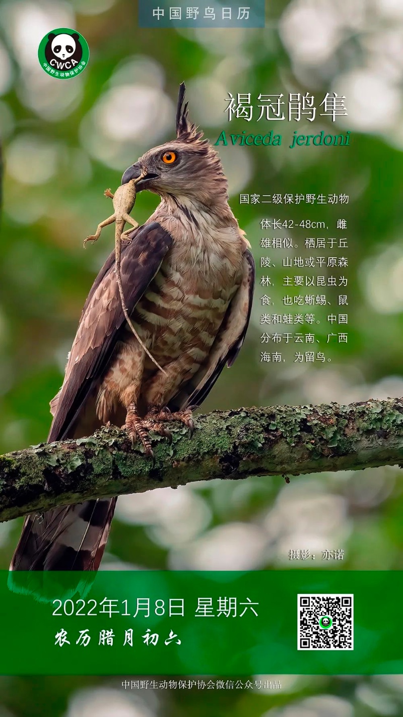 578D1E5F-0E22-4CF0-9A61-203A34F6ED66
