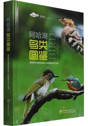 2021年中文版鸟类书籍集锦_www.isenlin.cn