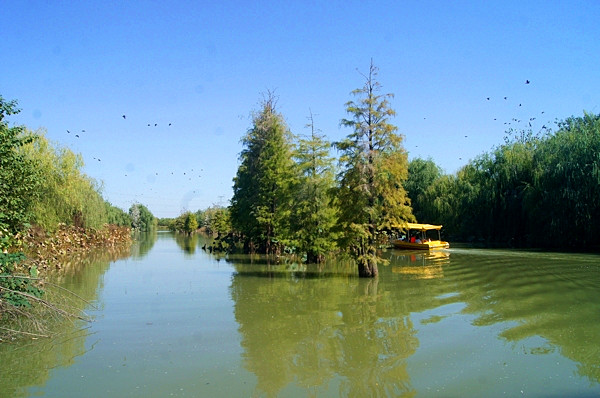 DSC06329