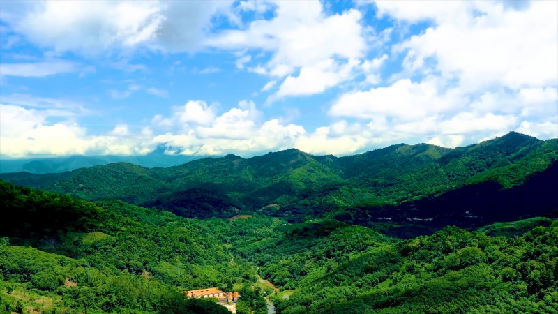 北部山區(qū)開展宜林荒山綠化，構(gòu)建山區(qū)生態(tài)屏障。