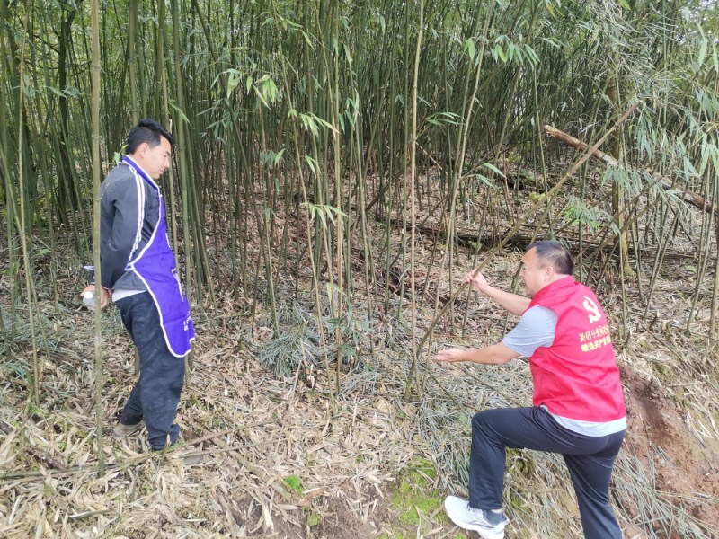 向笋农讲解如何培育管护林竹资源