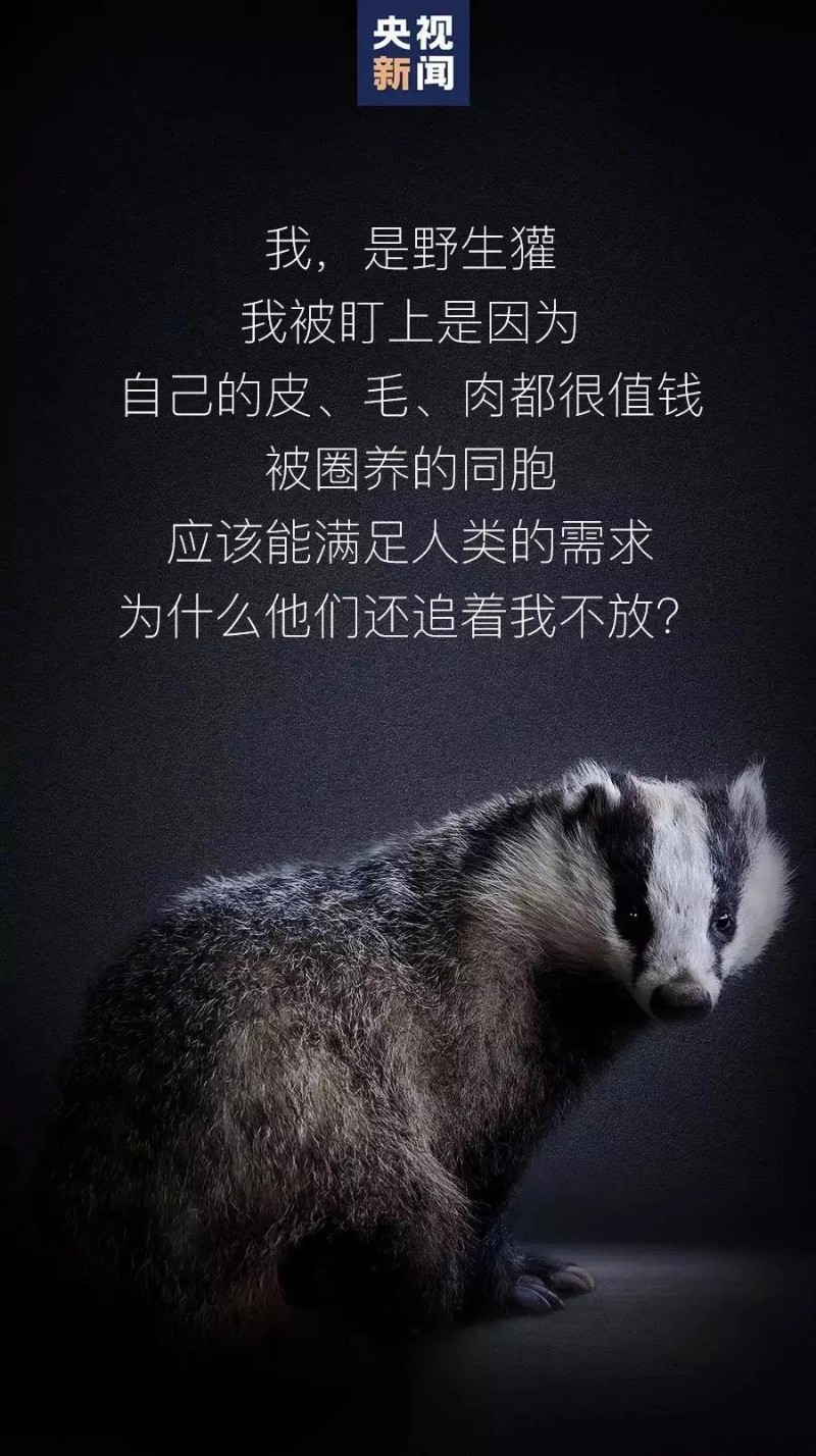 微信圖片_20200304091915