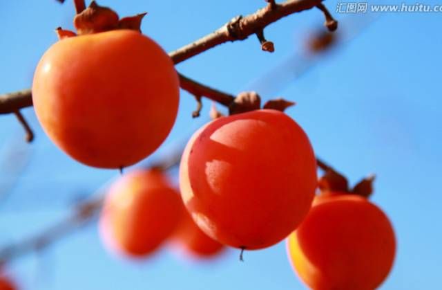 o_13p2ruso4u3c12o916rd1f8mrhmd9.jpg