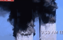 263_169gif 动态图 动图