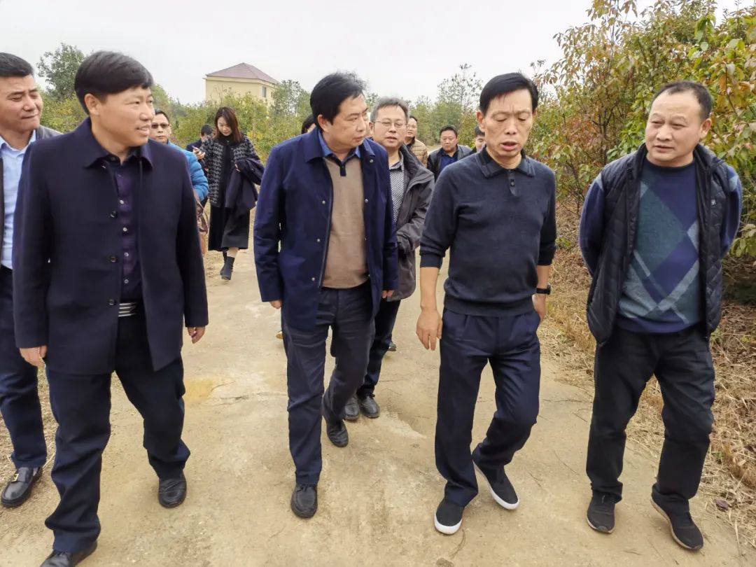 南昌市市级林长市政府副市长樊三宝到新建区开展巡林工作