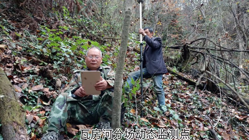 徐远启与队友在林中开展资源动态监测点调查
